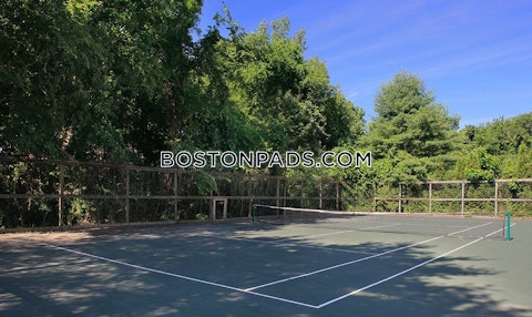 Kimball Ct. Burlington photo 11