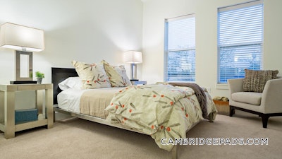 Cambridge Apartment for rent 1 Bedroom 1 Bath  Alewife - $3,139