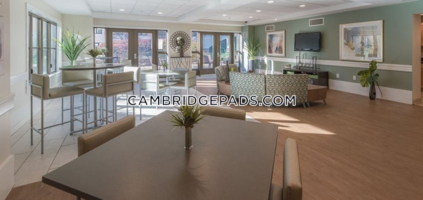 CAMBRIDGE - ALEWIFE - 1 Bed, 1 Bath - Image 14