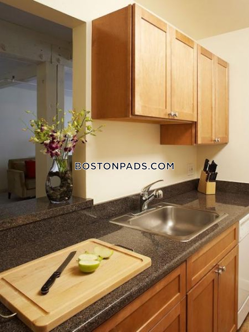 CAMBRIDGE - CENTRAL SQUARE/CAMBRIDGEPORT - Studio , 1 Bath - Image 3