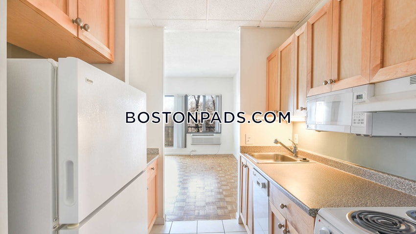 CAMBRIDGE - CENTRAL SQUARE/CAMBRIDGEPORT - 1 Bed, 1 Bath - Image 9