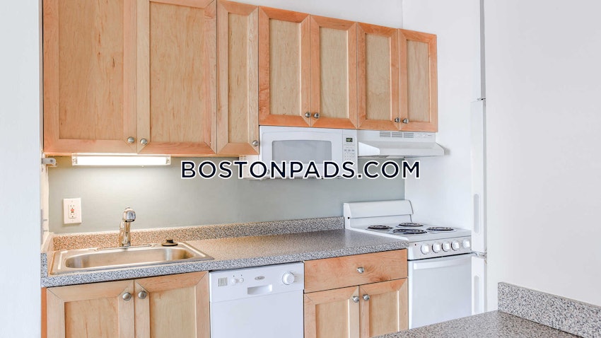 CAMBRIDGE - CENTRAL SQUARE/CAMBRIDGEPORT - Studio , 1 Bath - Image 20