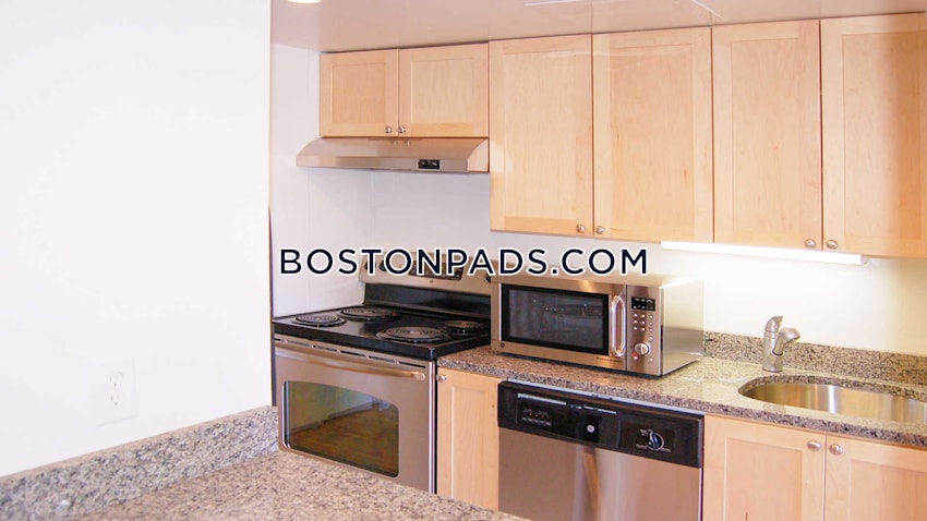 CAMBRIDGE - CENTRAL SQUARE/CAMBRIDGEPORT - Studio , 1 Bath - Image 15