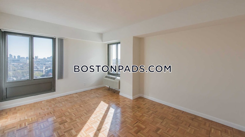 CAMBRIDGE - CENTRAL SQUARE/CAMBRIDGEPORT - Studio , 1 Bath - Image 11