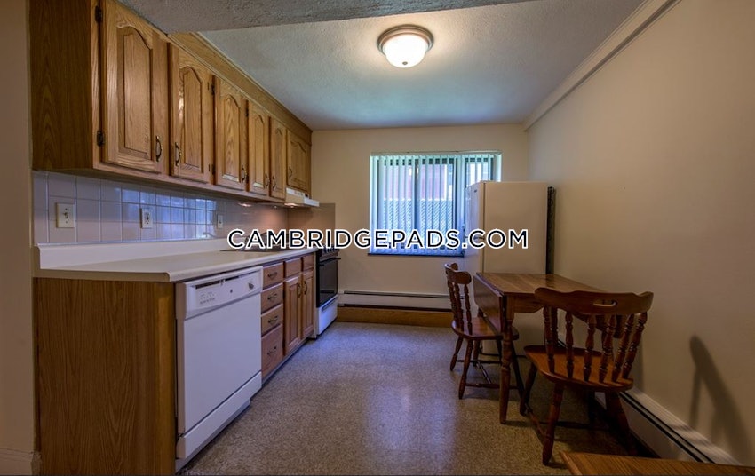 CAMBRIDGE - DAVIS SQUARE - Studio , 1 Bath - Image 4