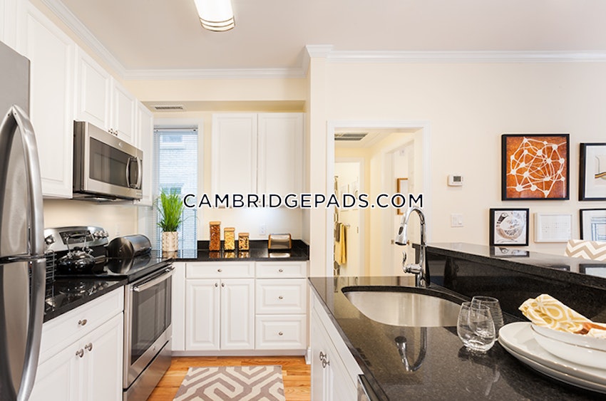 CAMBRIDGE - HARVARD SQUARE - 1 Bed, 1 Bath - Image 45