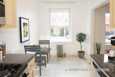 Cambridge Apartment for rent 1 Bedroom 1 Bath  Harvard Square - $2,995 No Fee