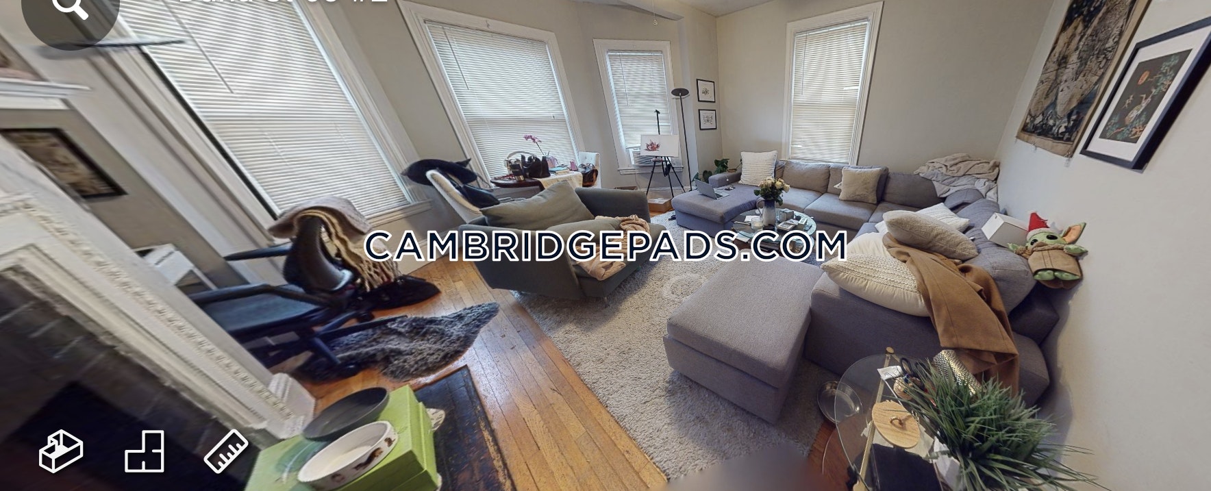 Cambridge Apartment for rent 1 Bedroom 1 Bath Harvard Square 2,575