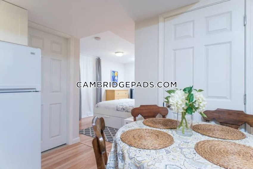 CAMBRIDGE - HARVARD SQUARE - 1 Bed, 1 Bath - Image 8