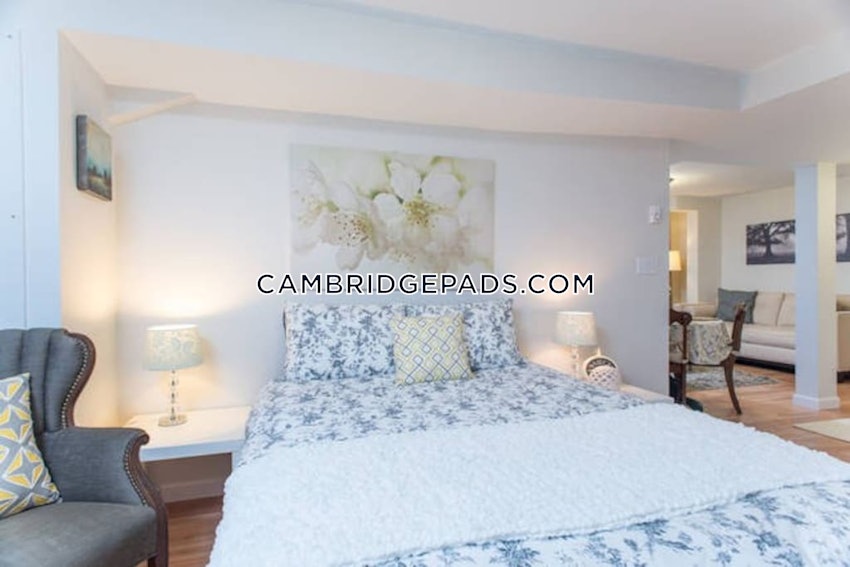 CAMBRIDGE - HARVARD SQUARE - 1 Bed, 1 Bath - Image 7