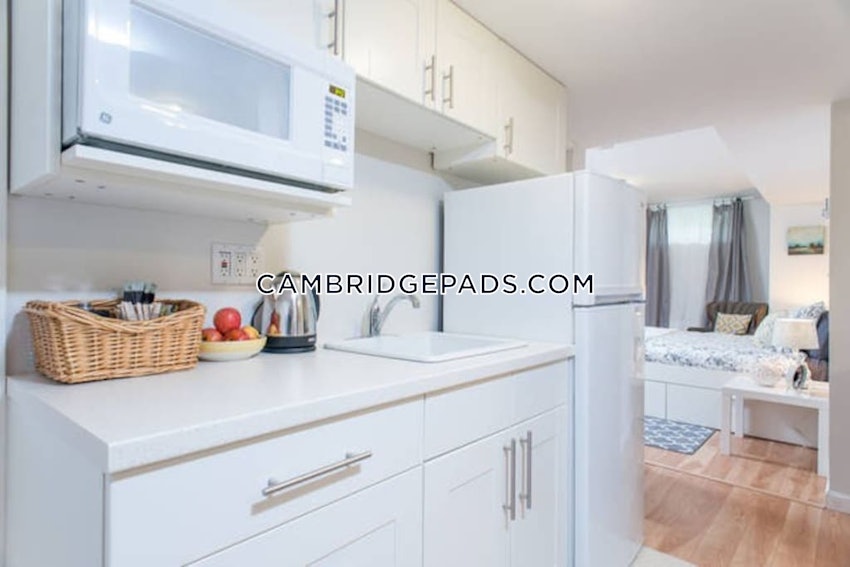 CAMBRIDGE - HARVARD SQUARE - 1 Bed, 1 Bath - Image 4