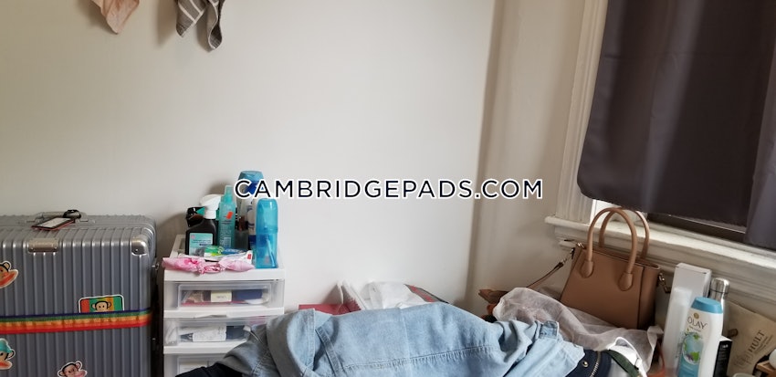 CAMBRIDGE- EAST CAMBRIDGE - 3 Beds, 1 Bath - Image 8