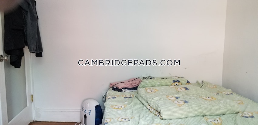 CAMBRIDGE- EAST CAMBRIDGE - 3 Beds, 1 Bath - Image 6