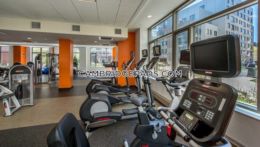 CAMBRIDGE - KENDALL SQUARE - 3 Beds, 2 Baths - Image 1