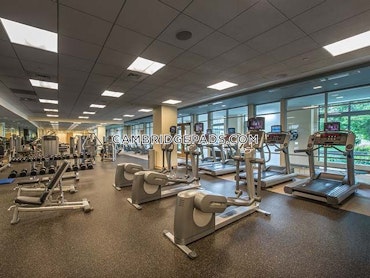 Leighton St. Cambridge