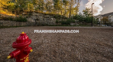 Silver Leaf Way. Marlborough