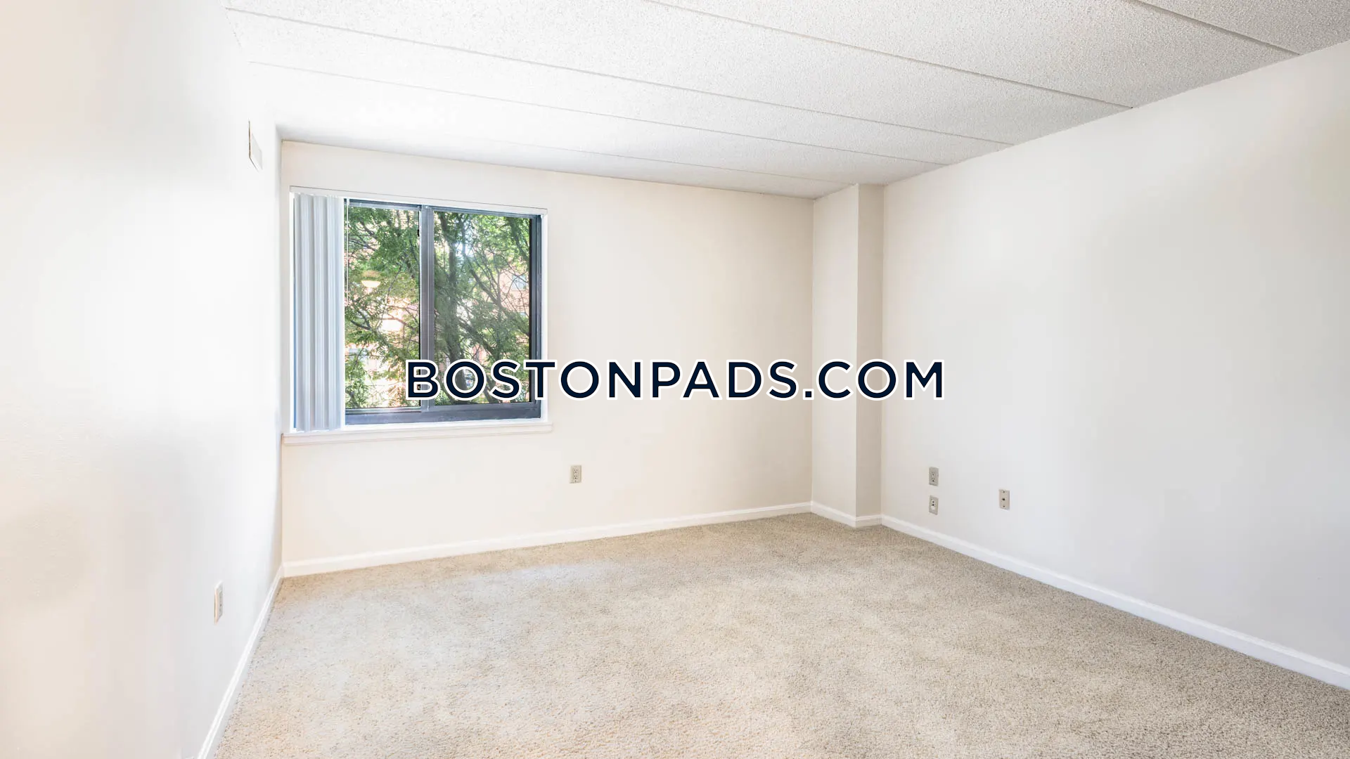 Gateway at Malden Center Photo 5