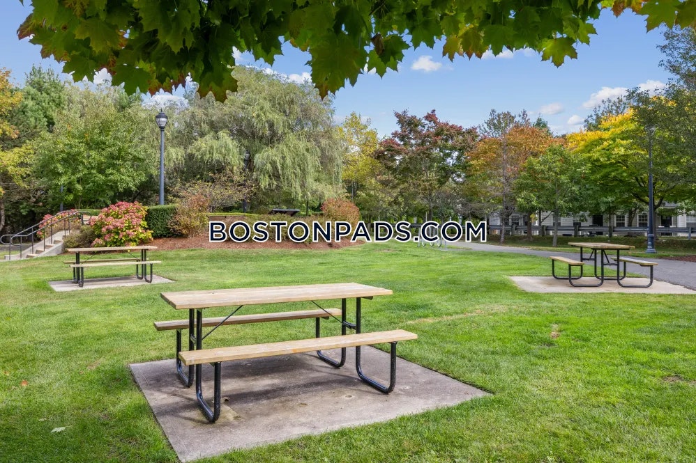 Sofi at Salem Station Photo 1