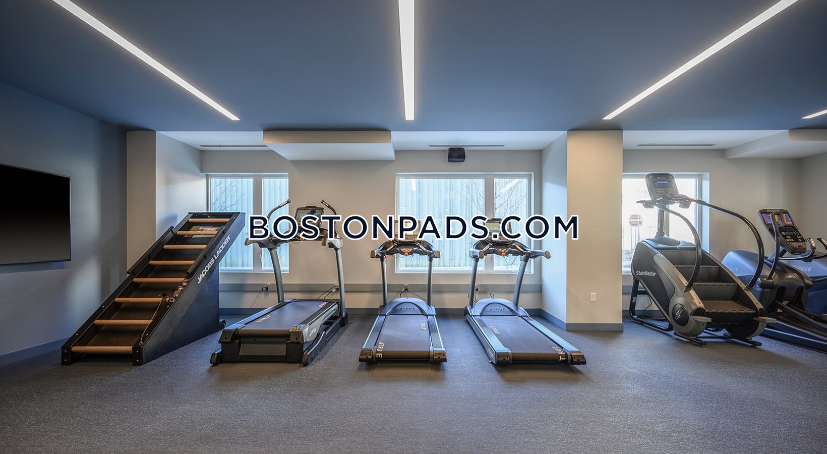 The Andi South Bay Photo 30