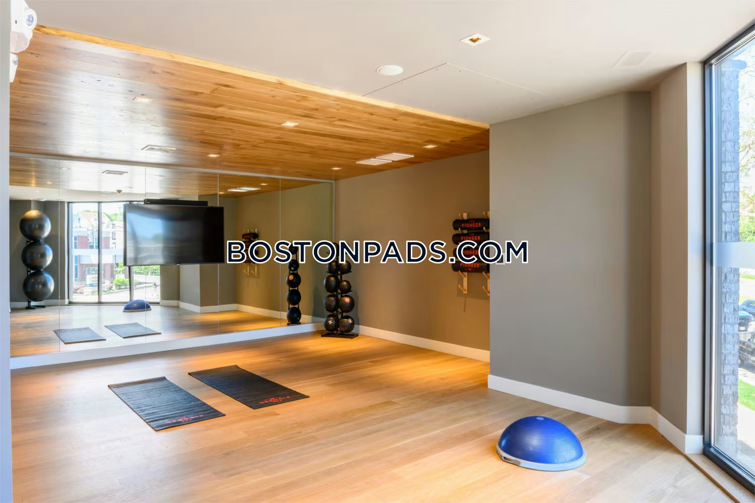 The Pioneer Photo 22