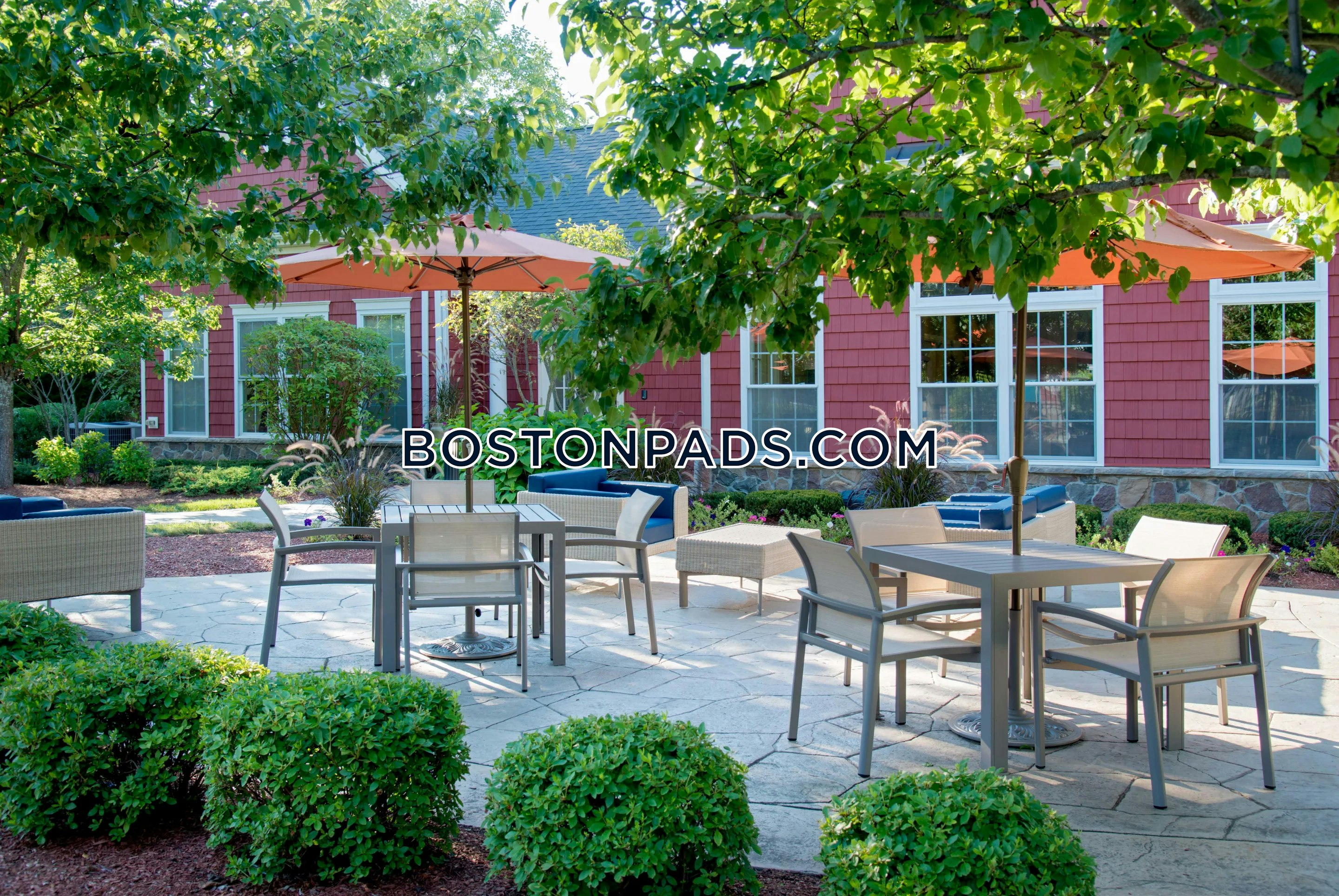 The Wren at Sharon Photo 2