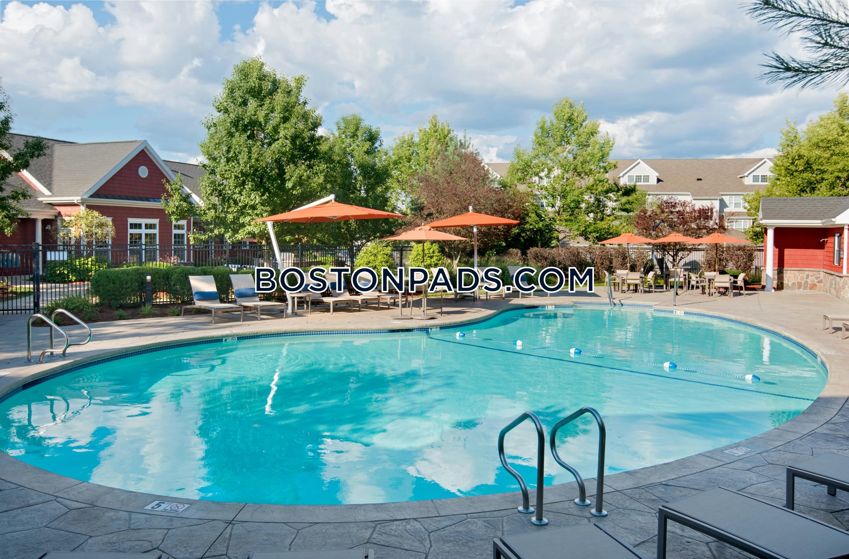 The Wren at Sharon Photo 10