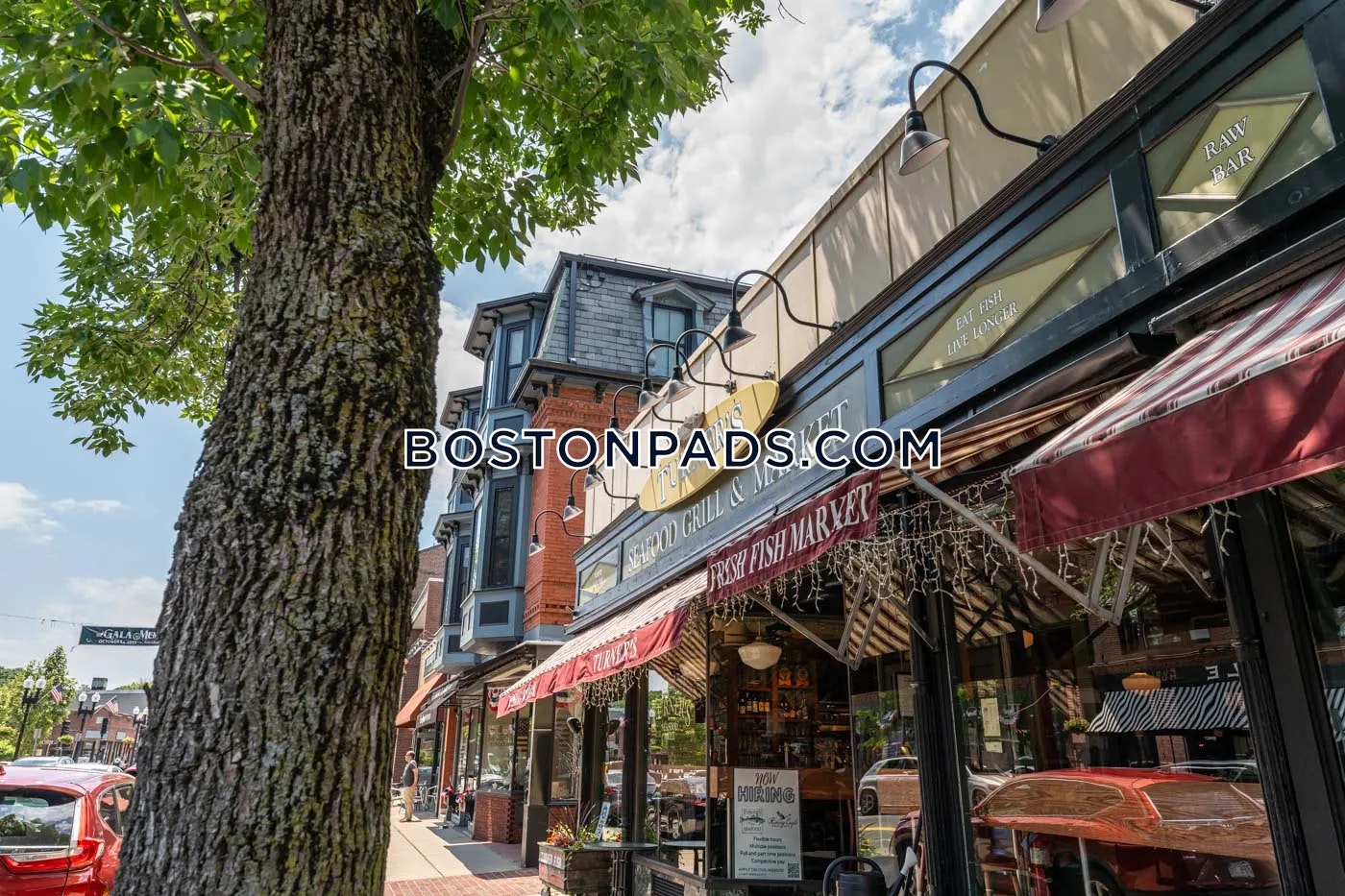 Towne Estates Photo 5