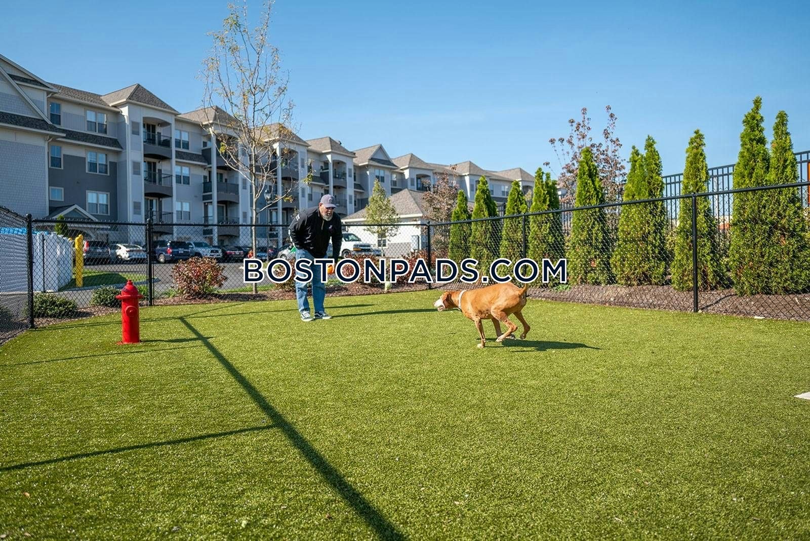 Traders Row Photo 34