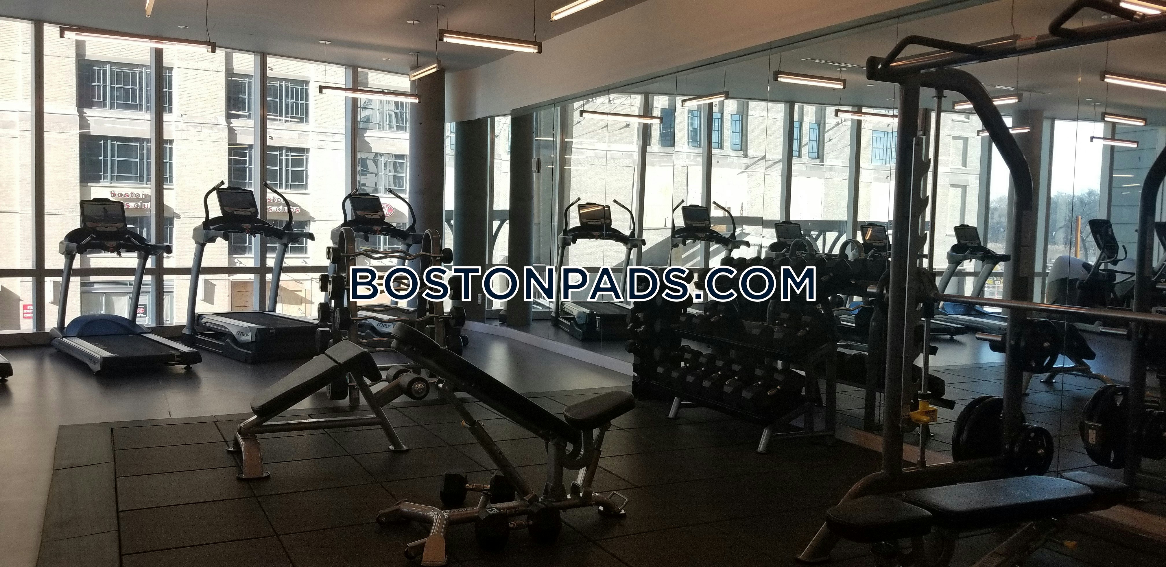 Pierce Boston Photo 19