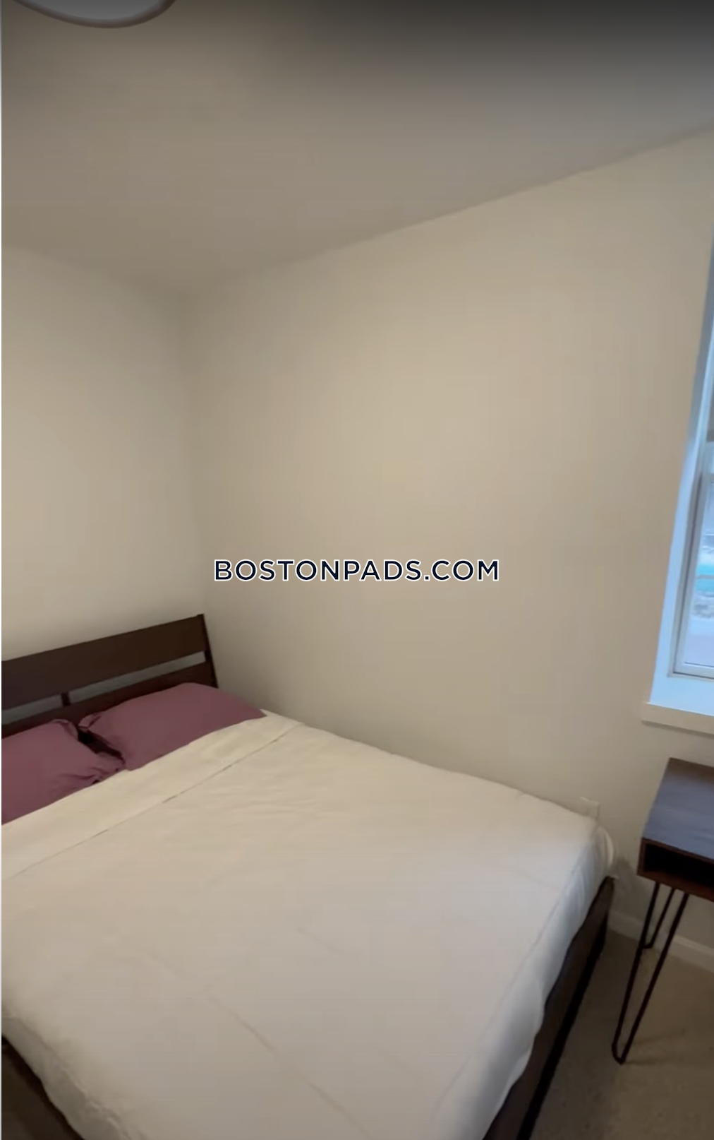 Nova Brighton Photo 26