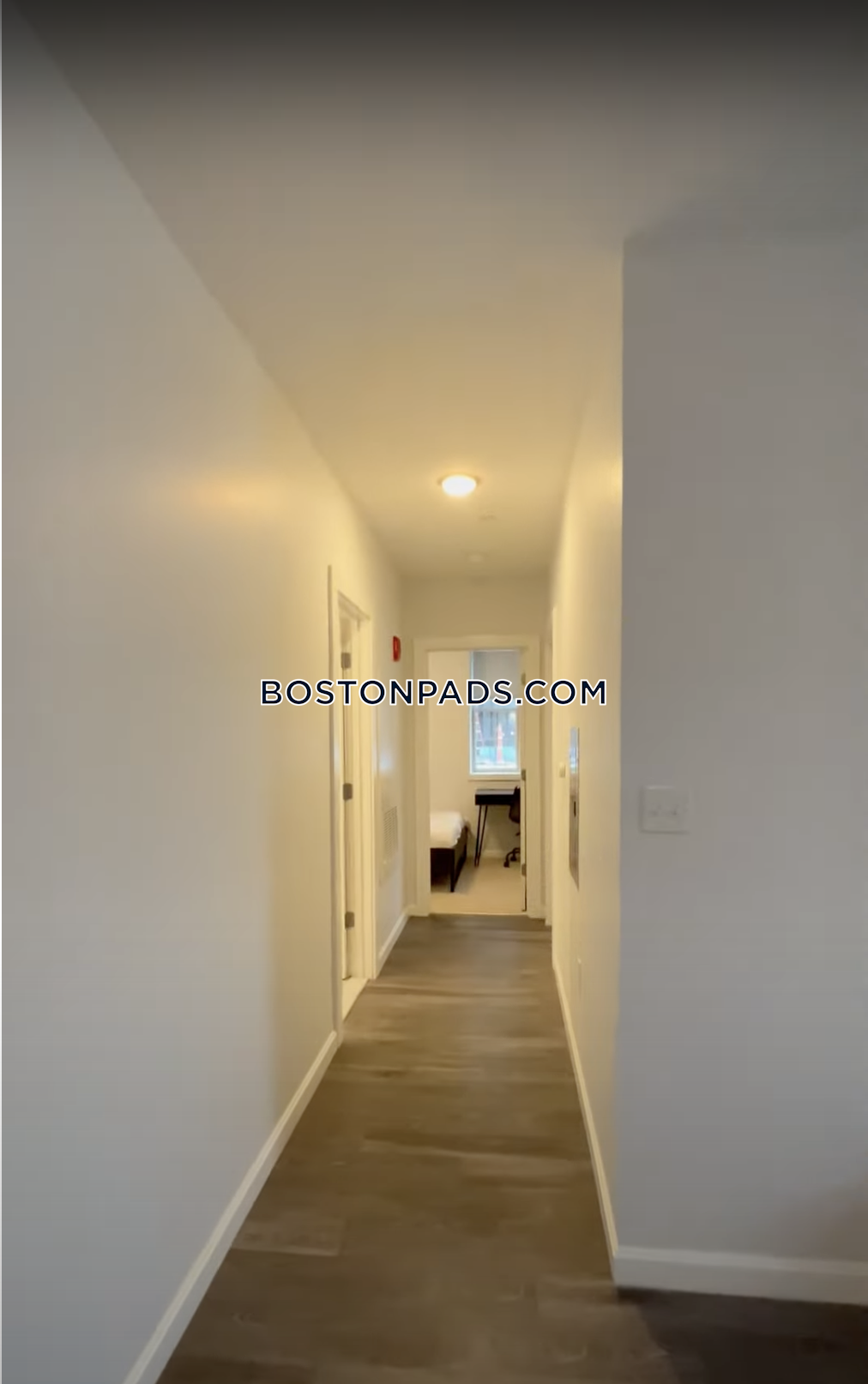 Nova Brighton Photo 95