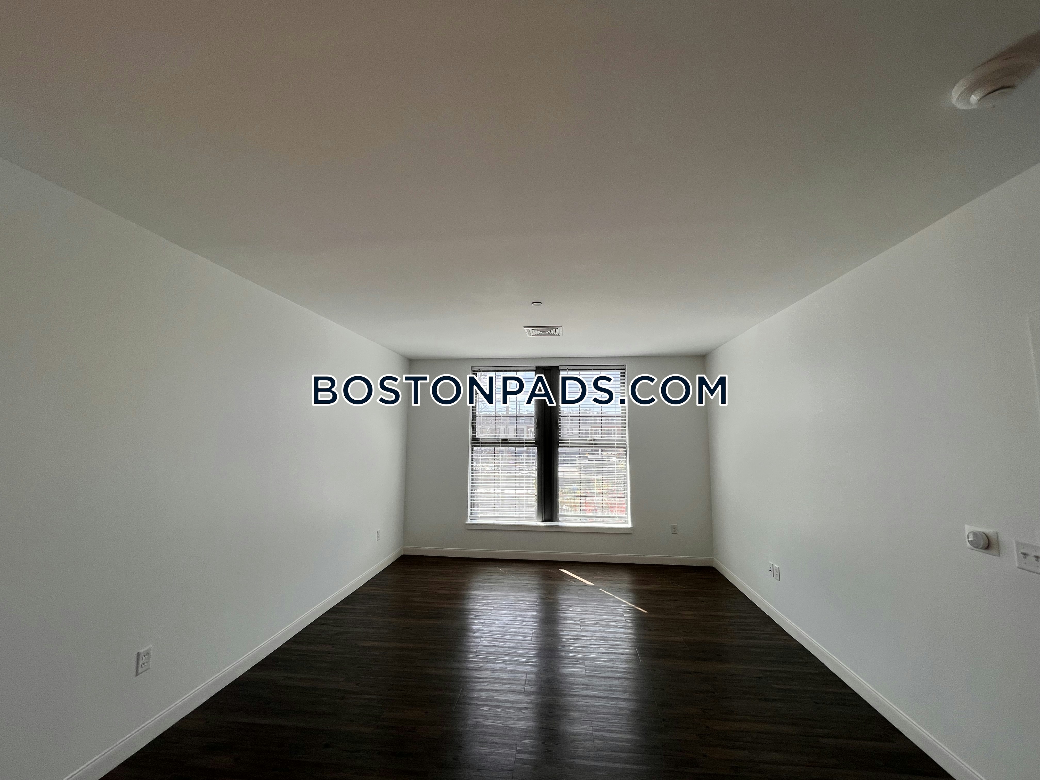 Trio Newton Photo 119