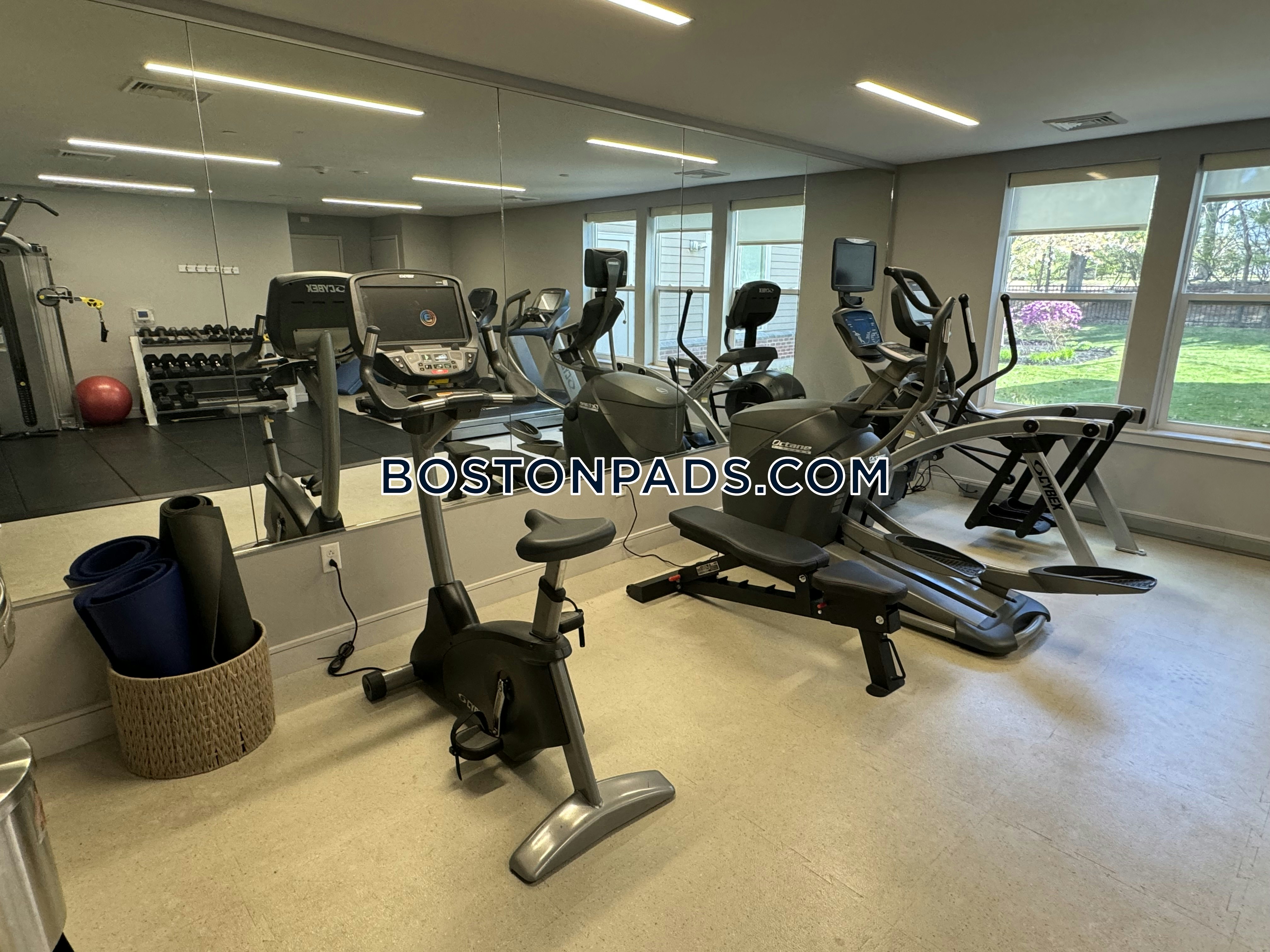 Linea Cambridge Photo 17