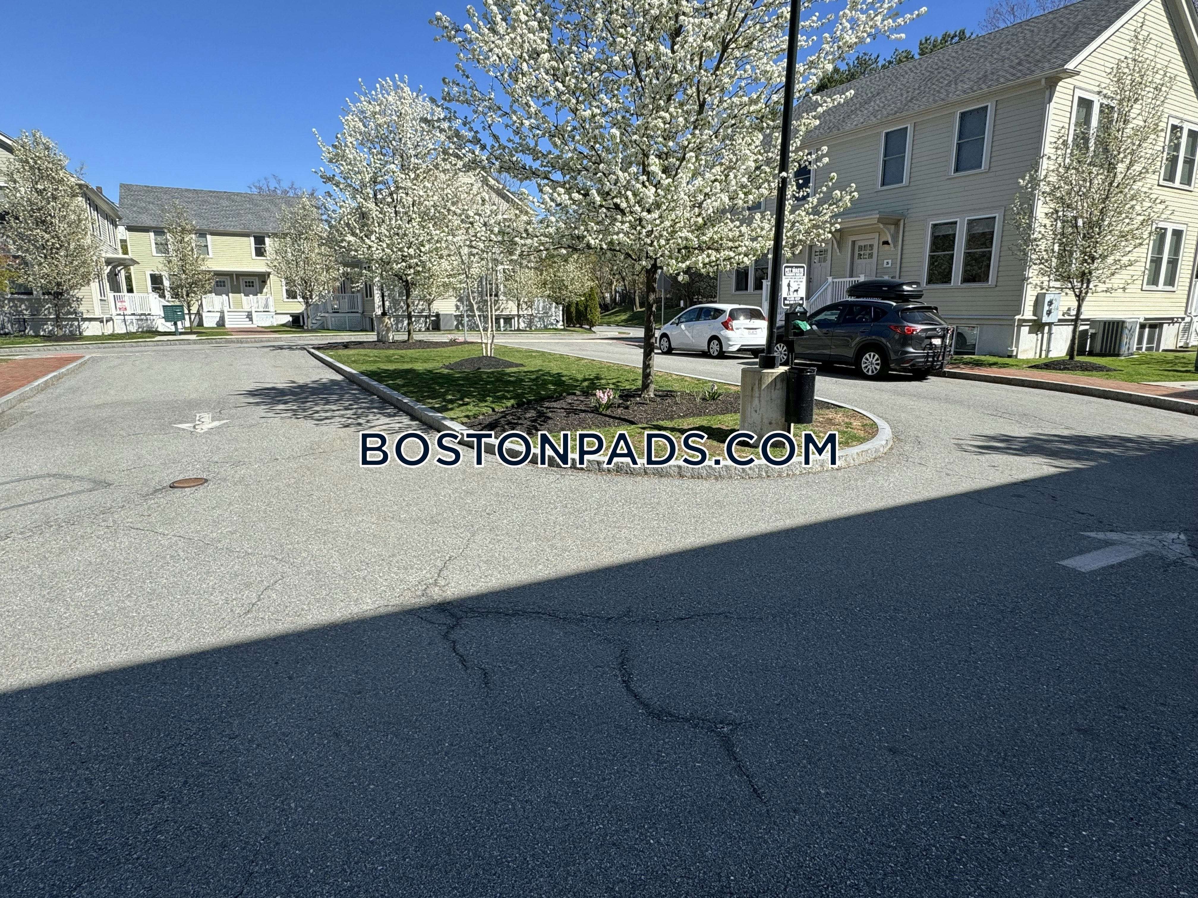 Linea Cambridge Photo 4