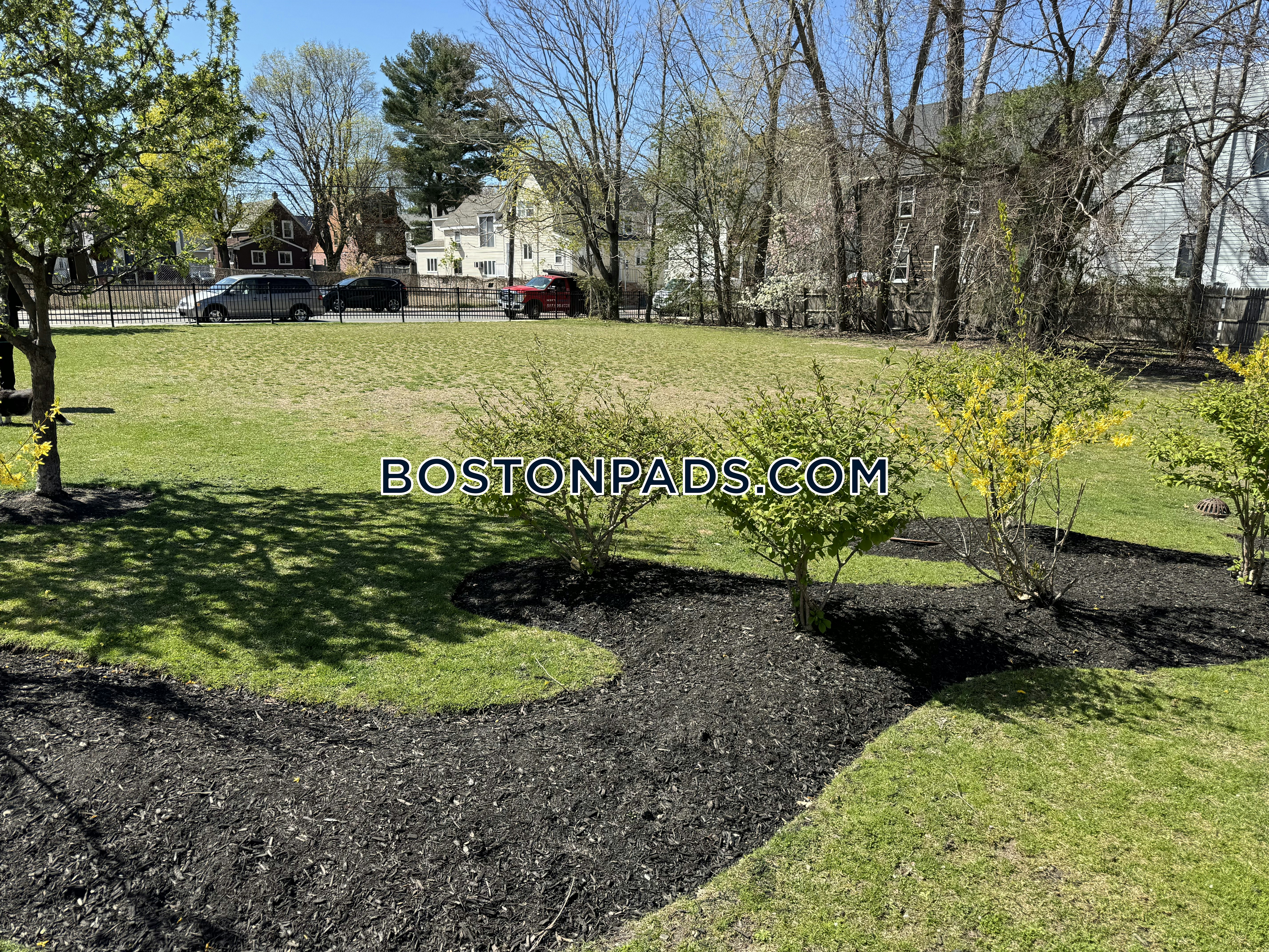 Linea Cambridge Photo 2