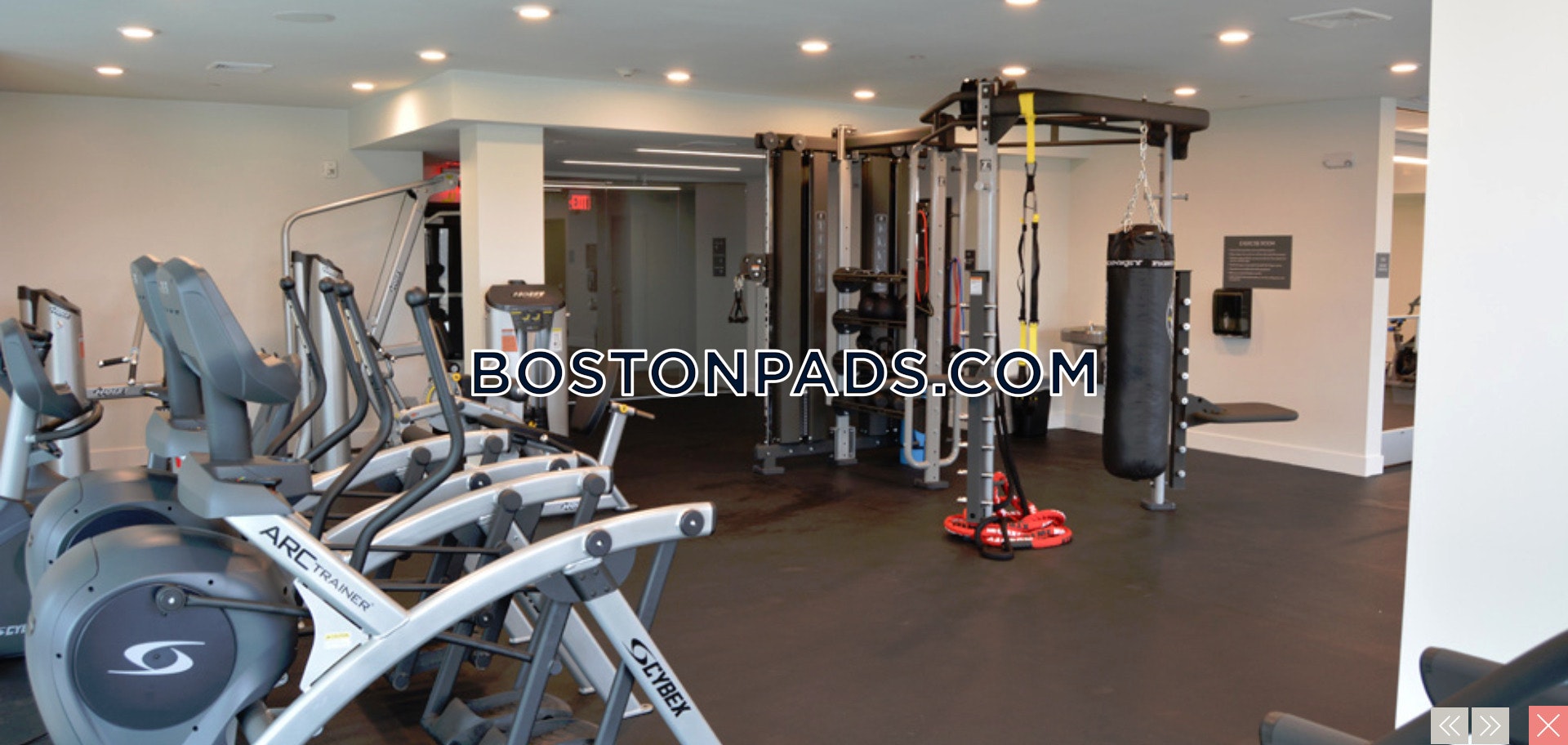 The Mastlight Photo 7