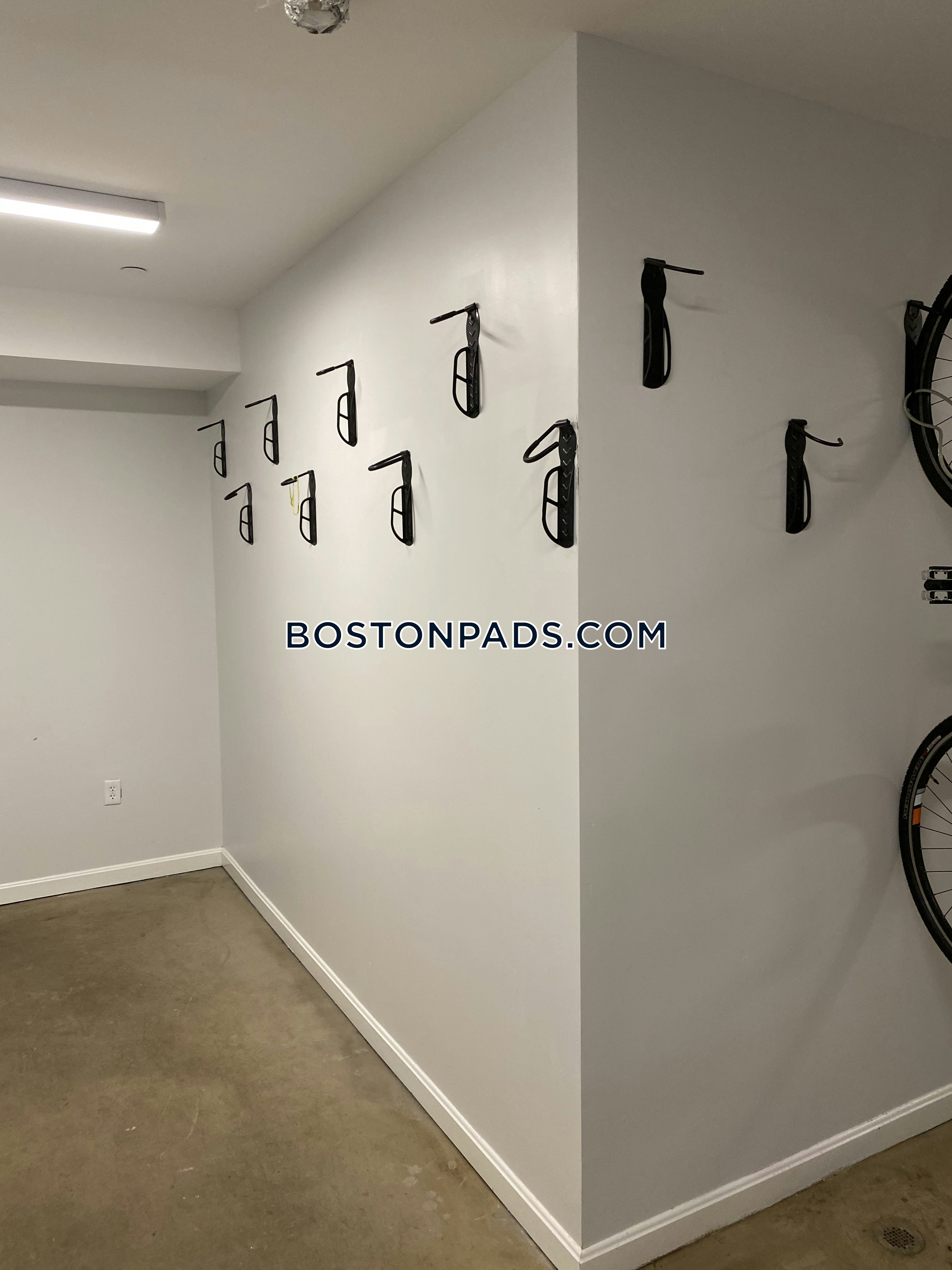 Nova Brighton Photo 79