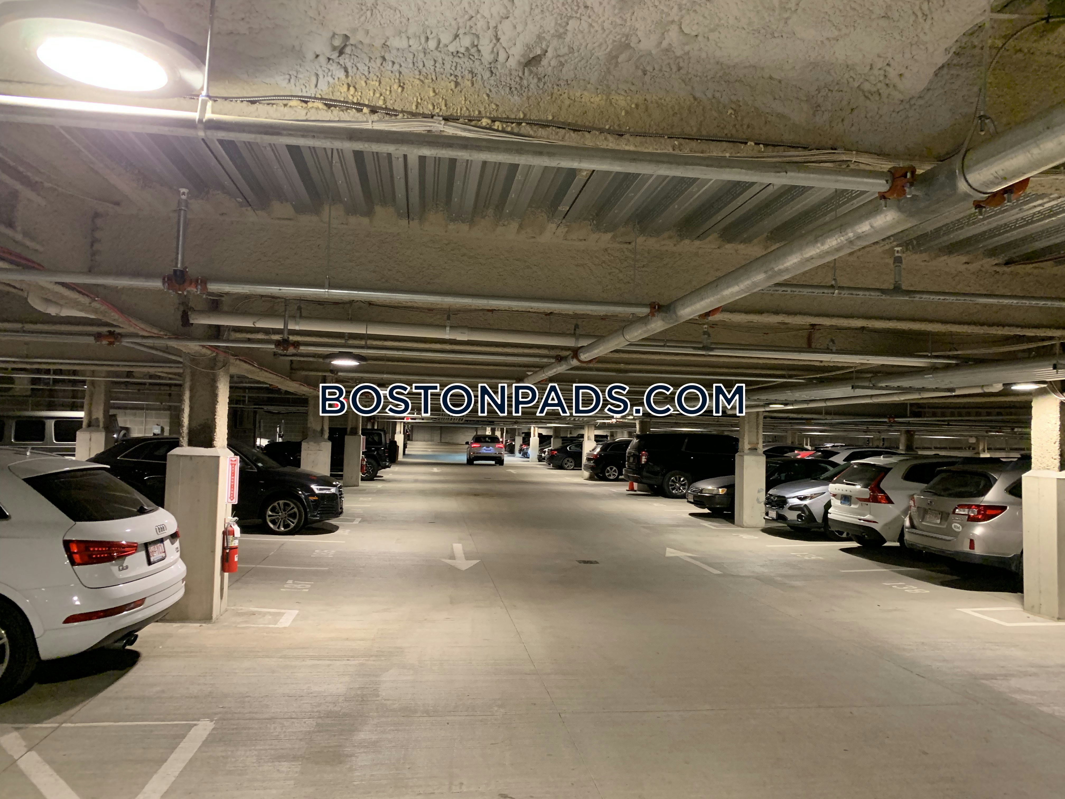 Trio Newton Photo 103