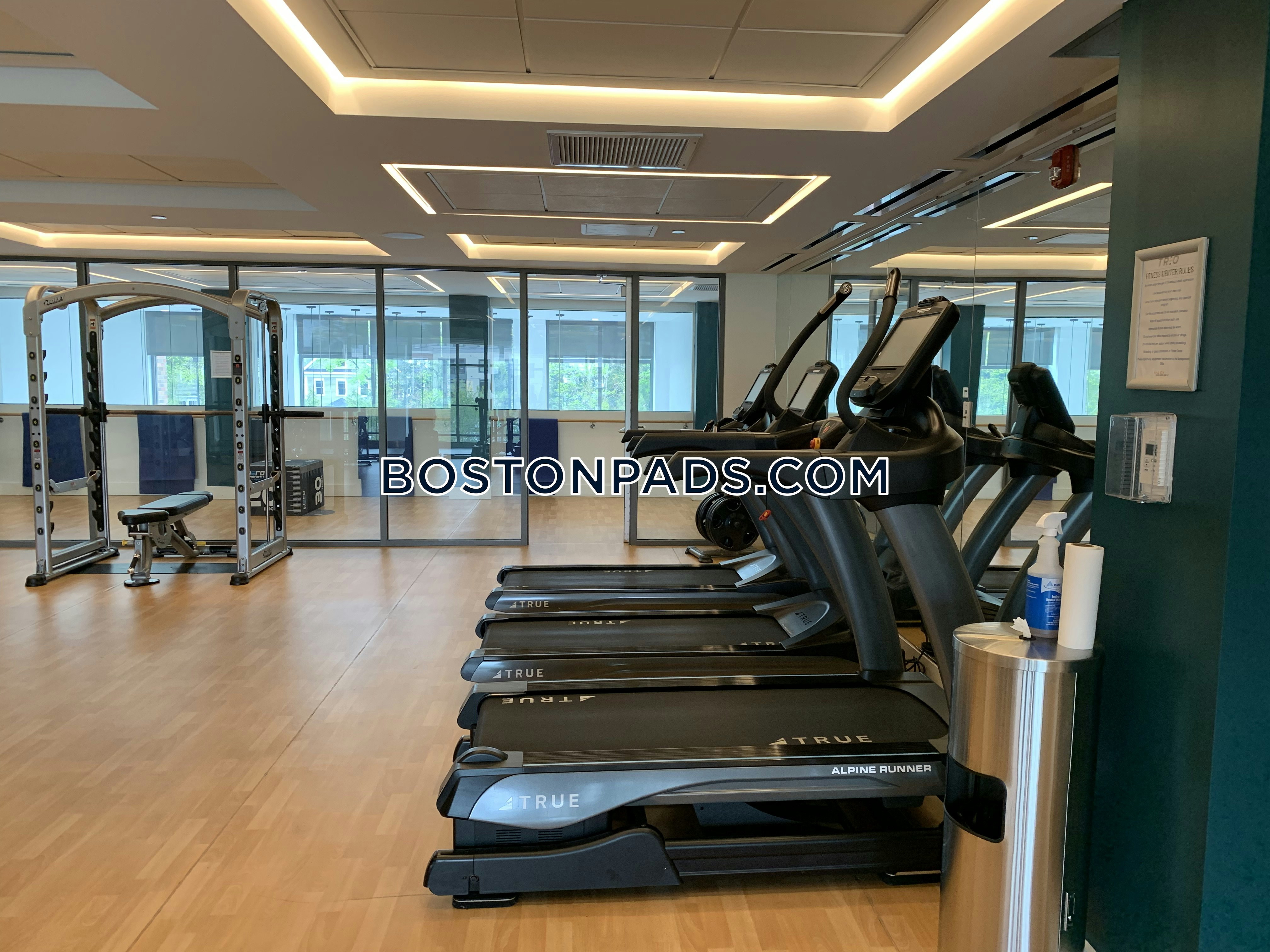 Trio Newton Photo 31