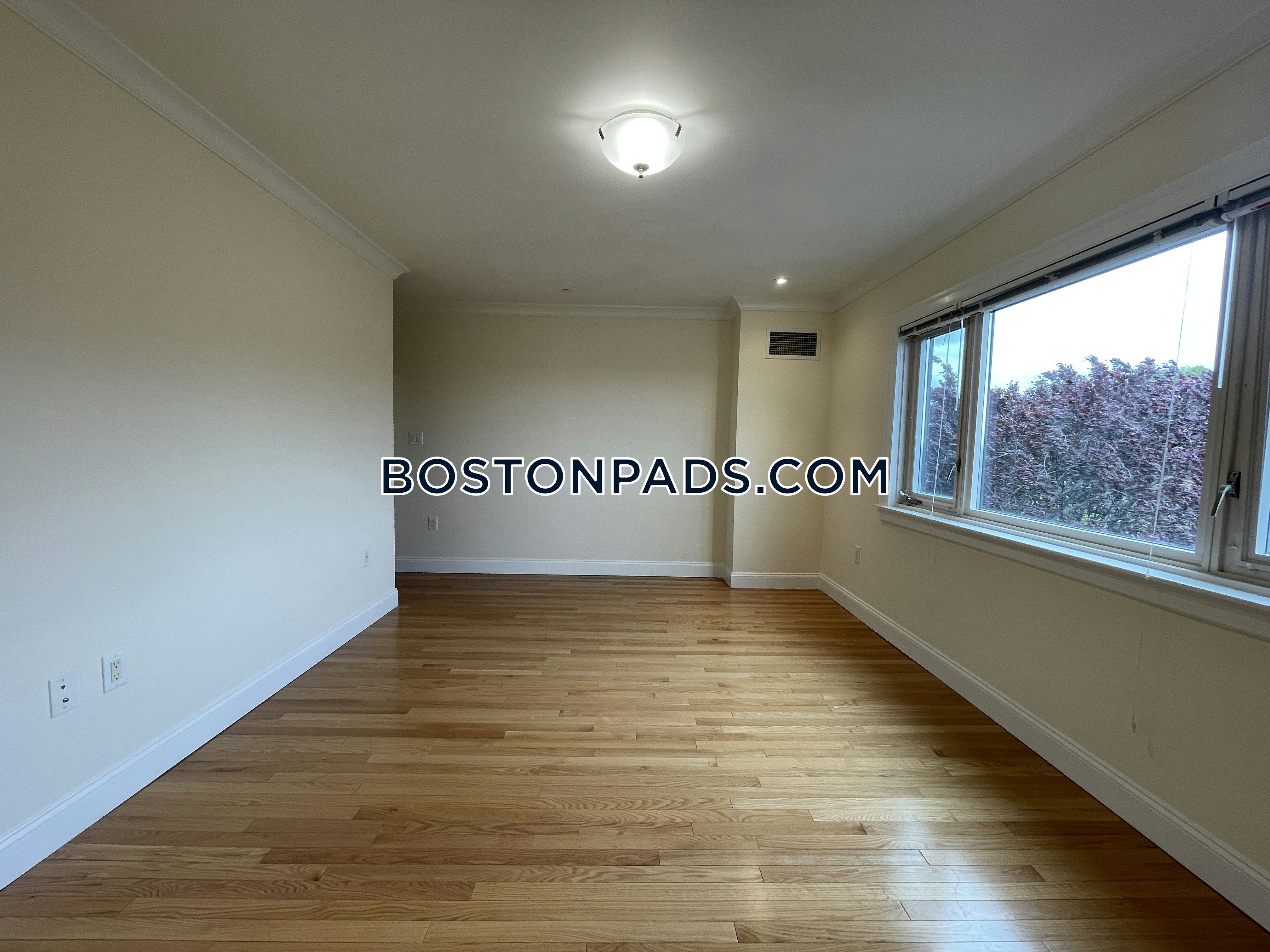 1443 Beacon Photo 39