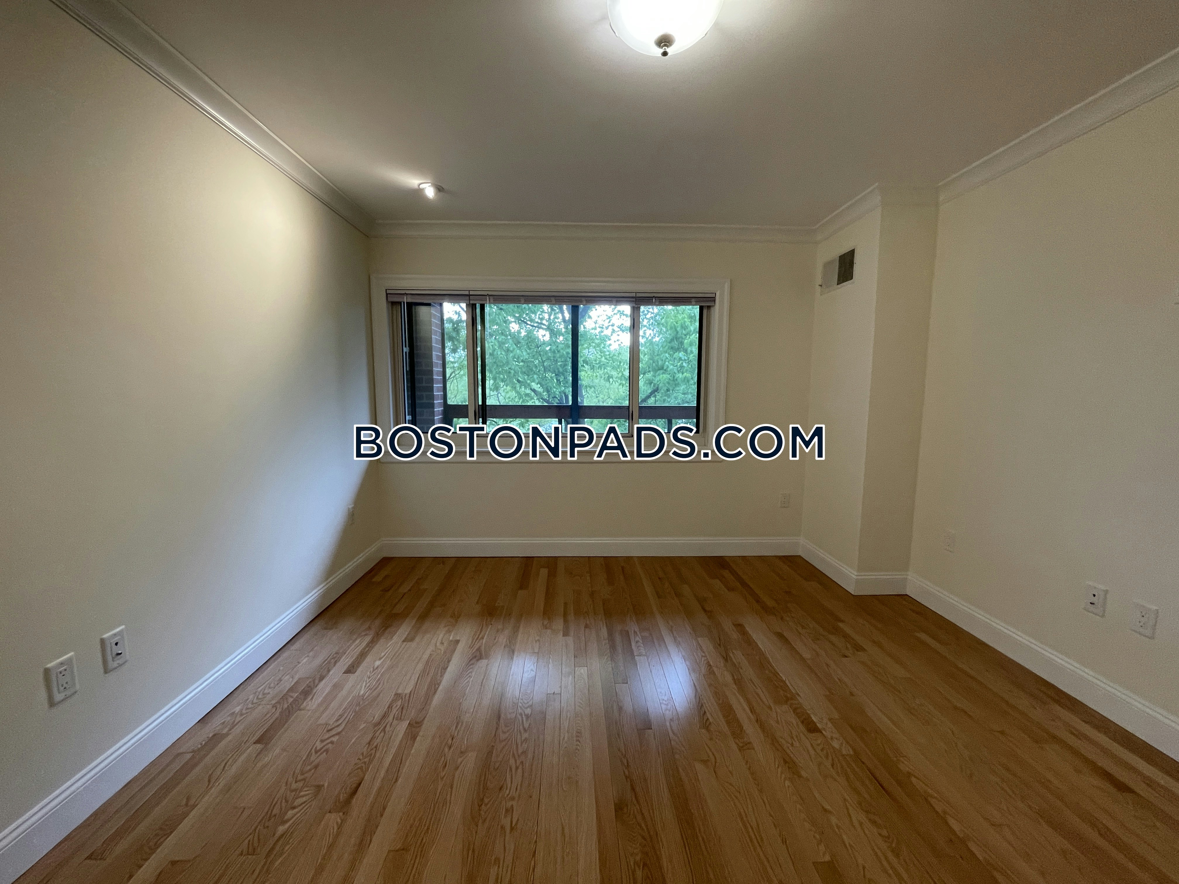 1443 Beacon Photo 16