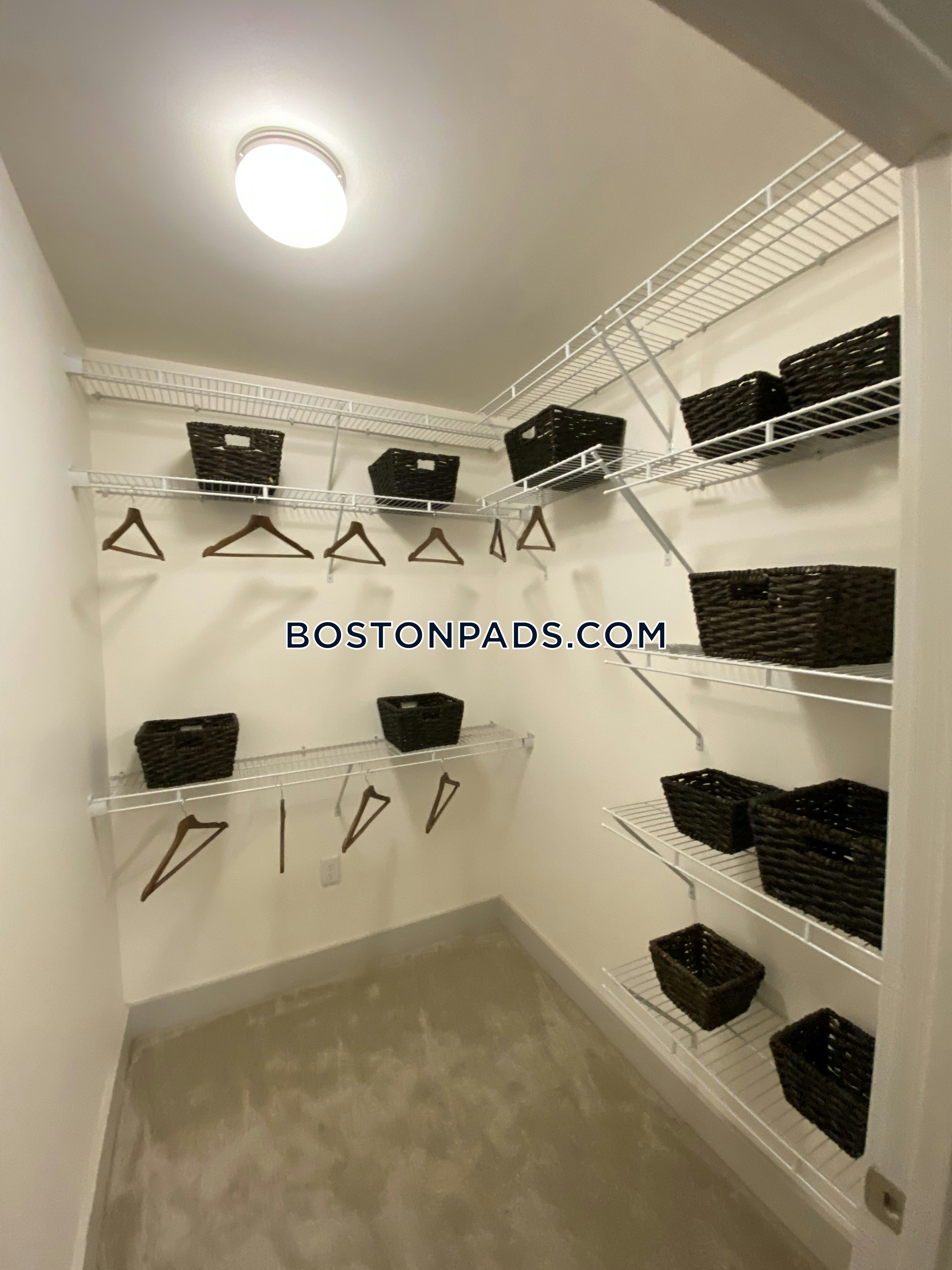 Hanover Alewife Photo 53