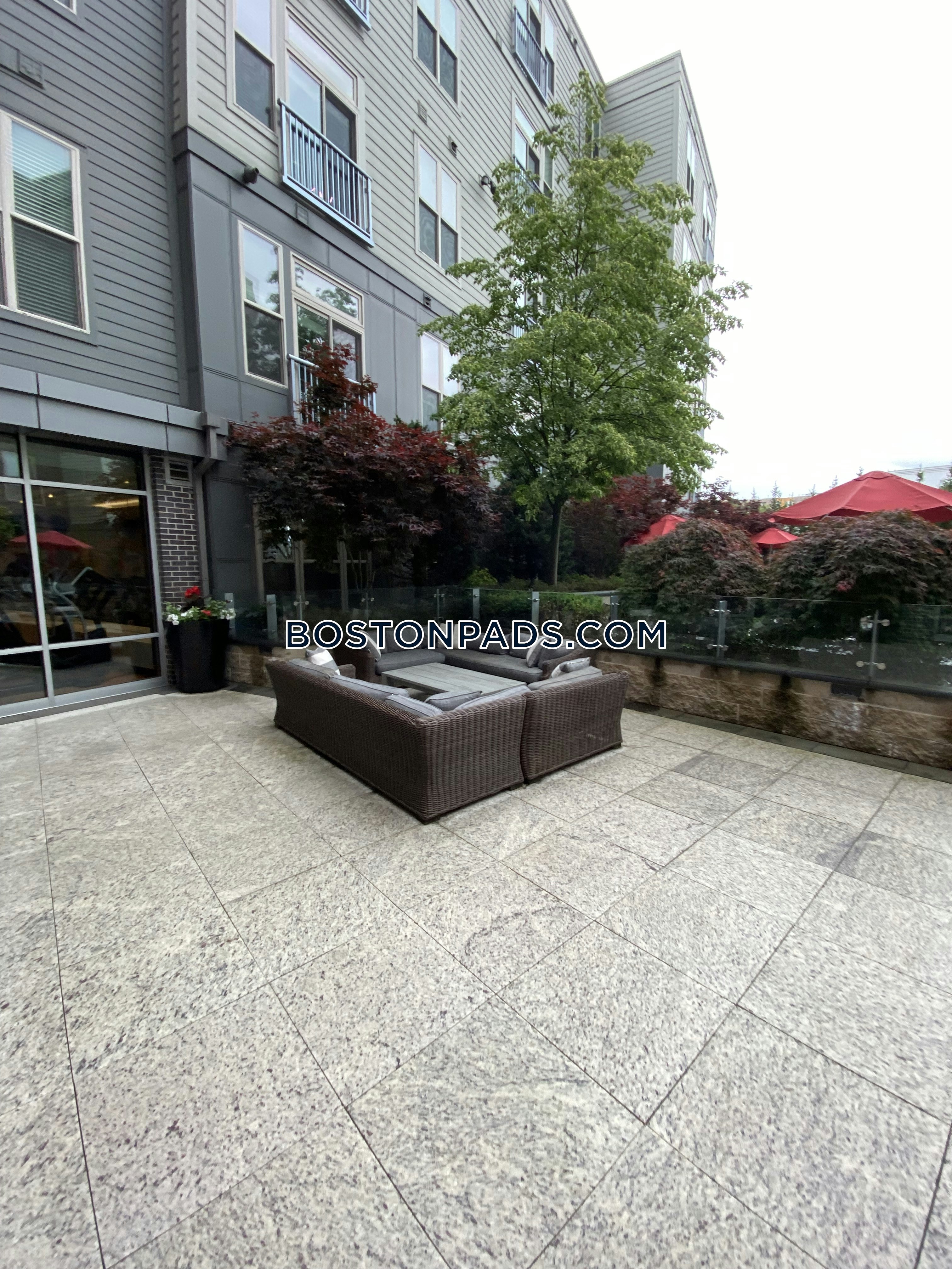 Hanover Alewife Photo 15