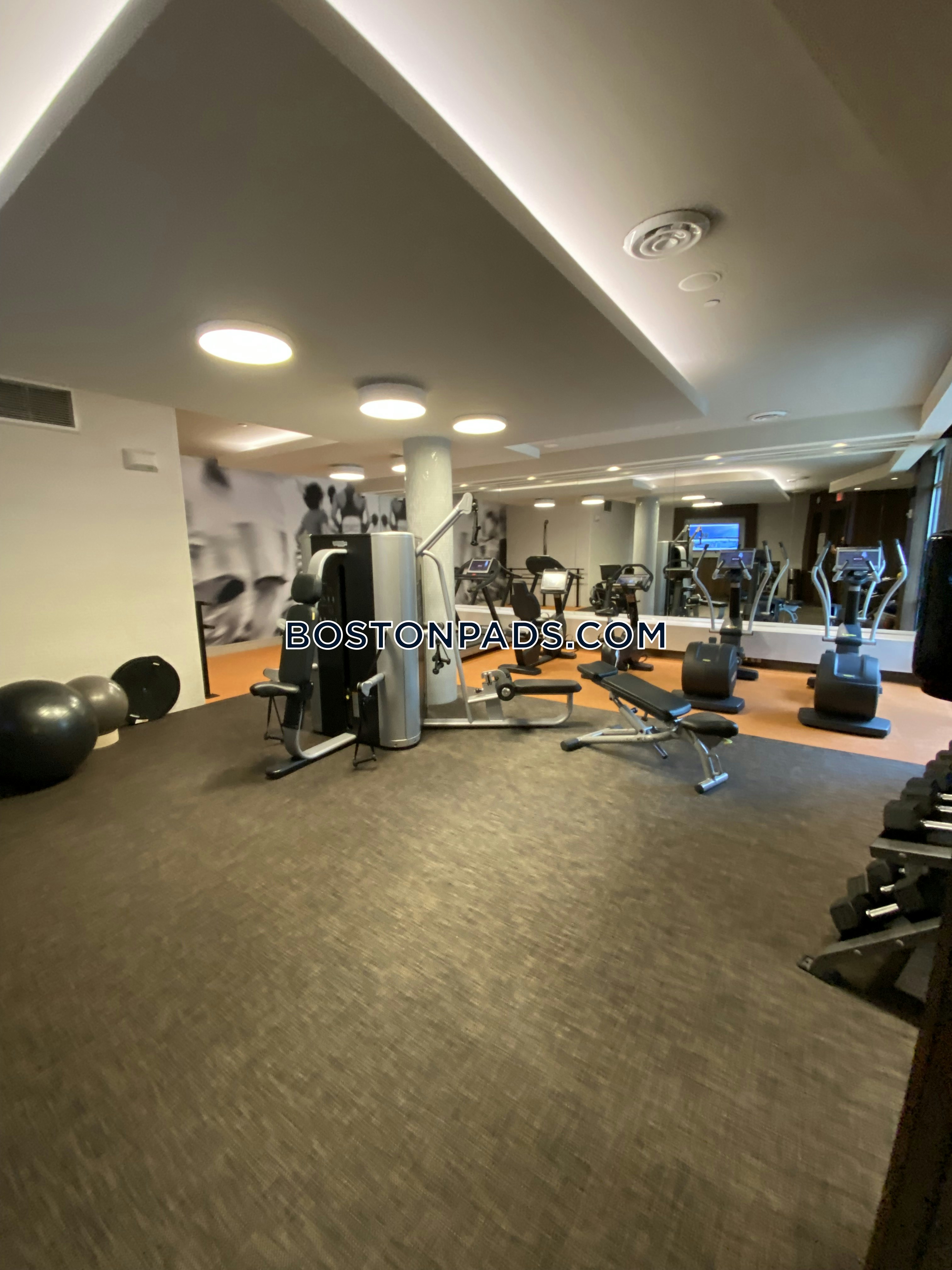 Hanover Alewife Photo 62