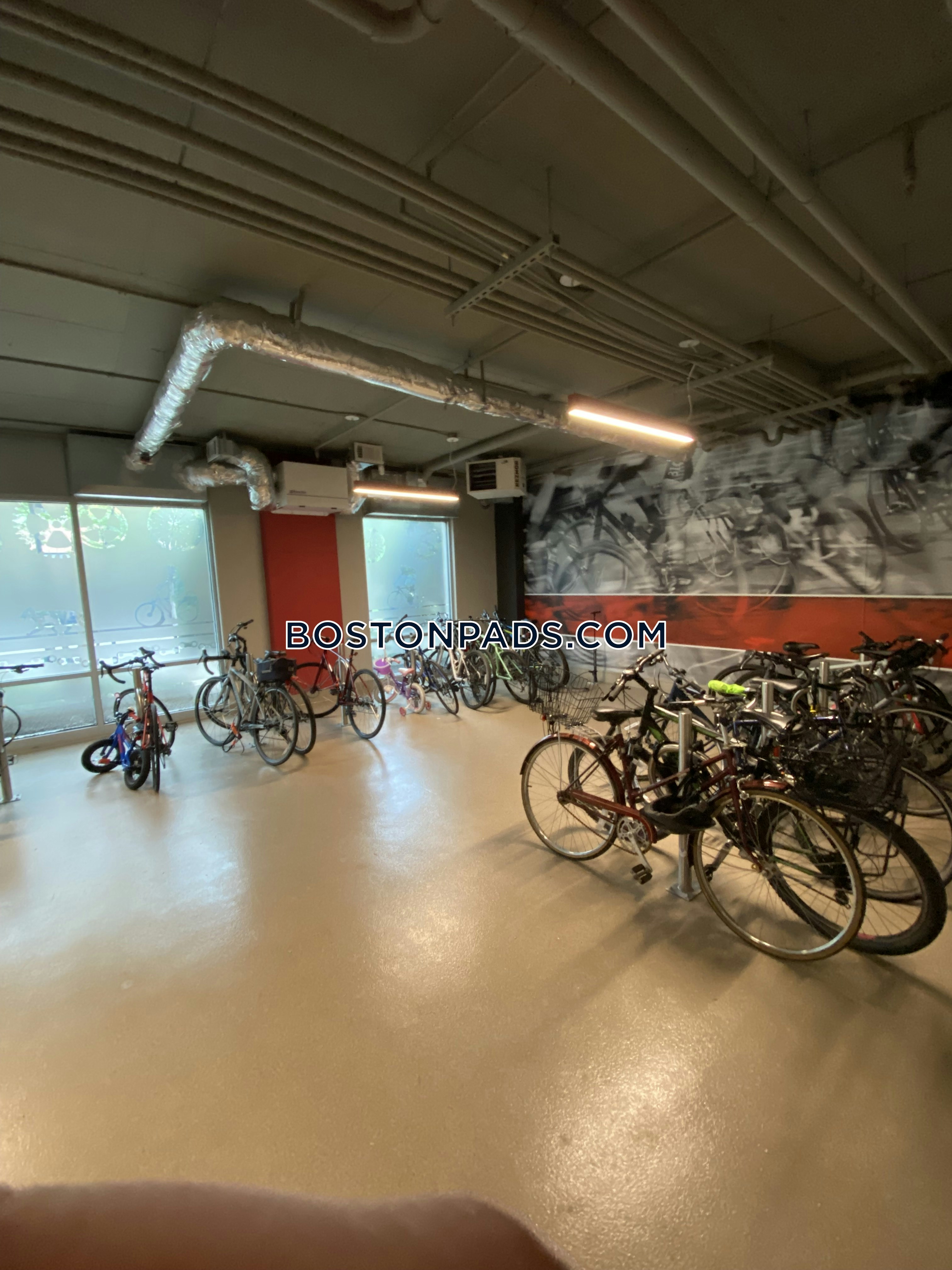 Hanover Alewife Photo 61