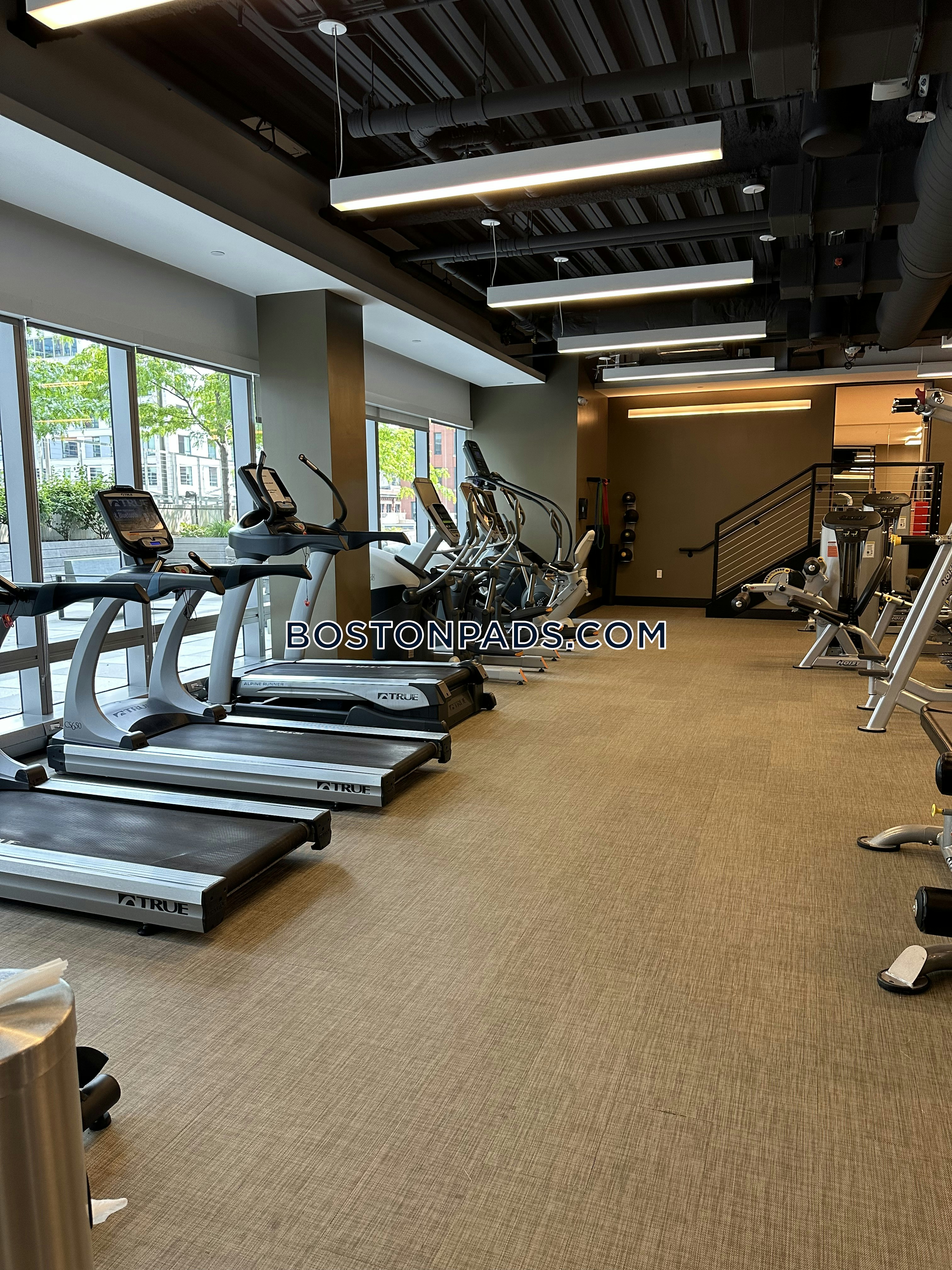 The Benjamin Photo 55