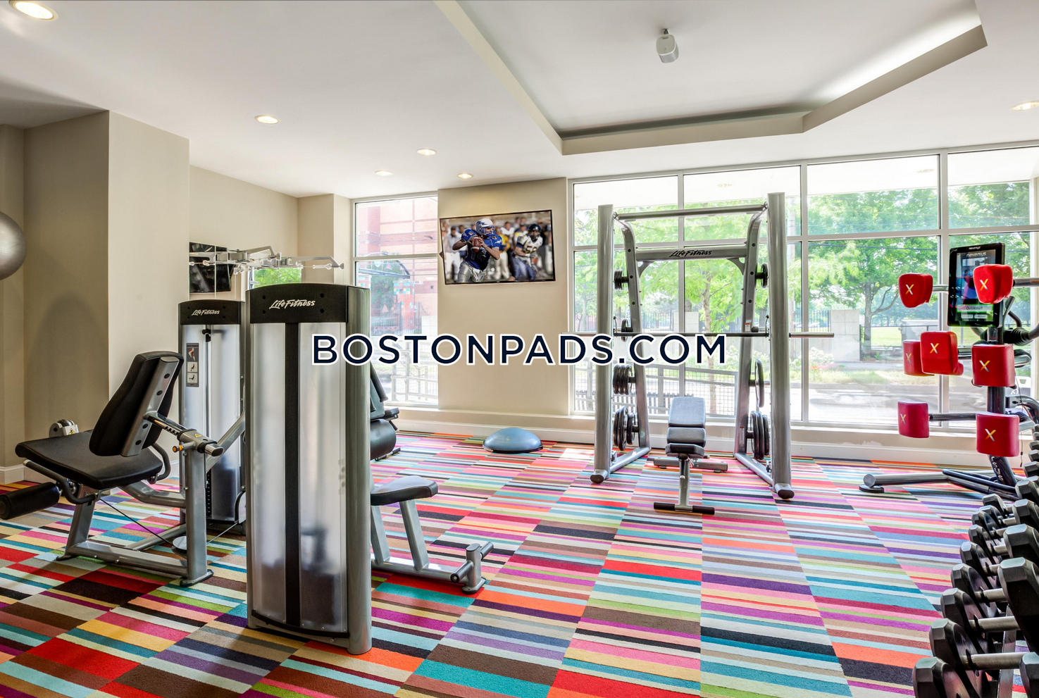 One Webster Photo 22