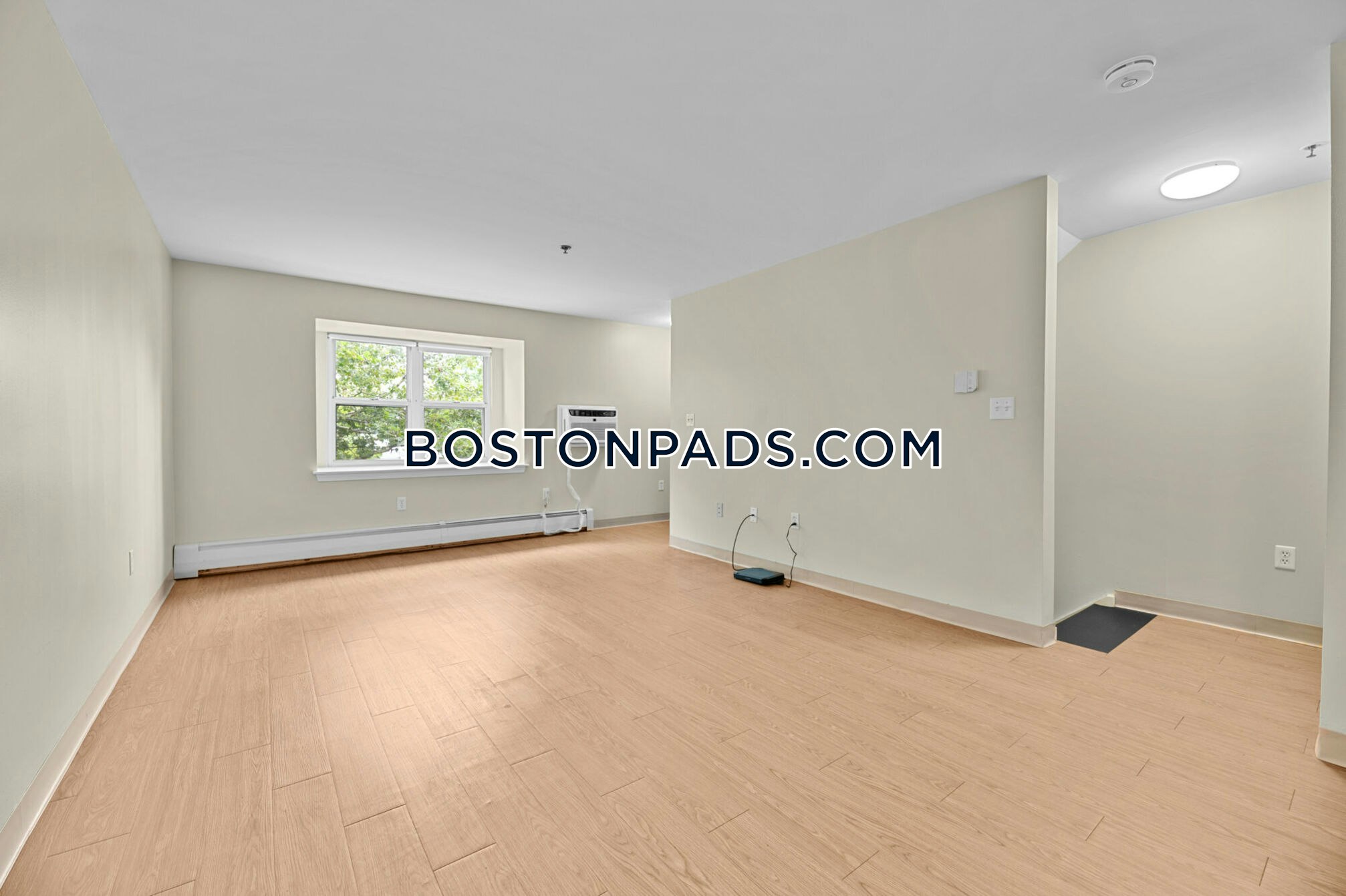 Mission Main Apartments Photo 40