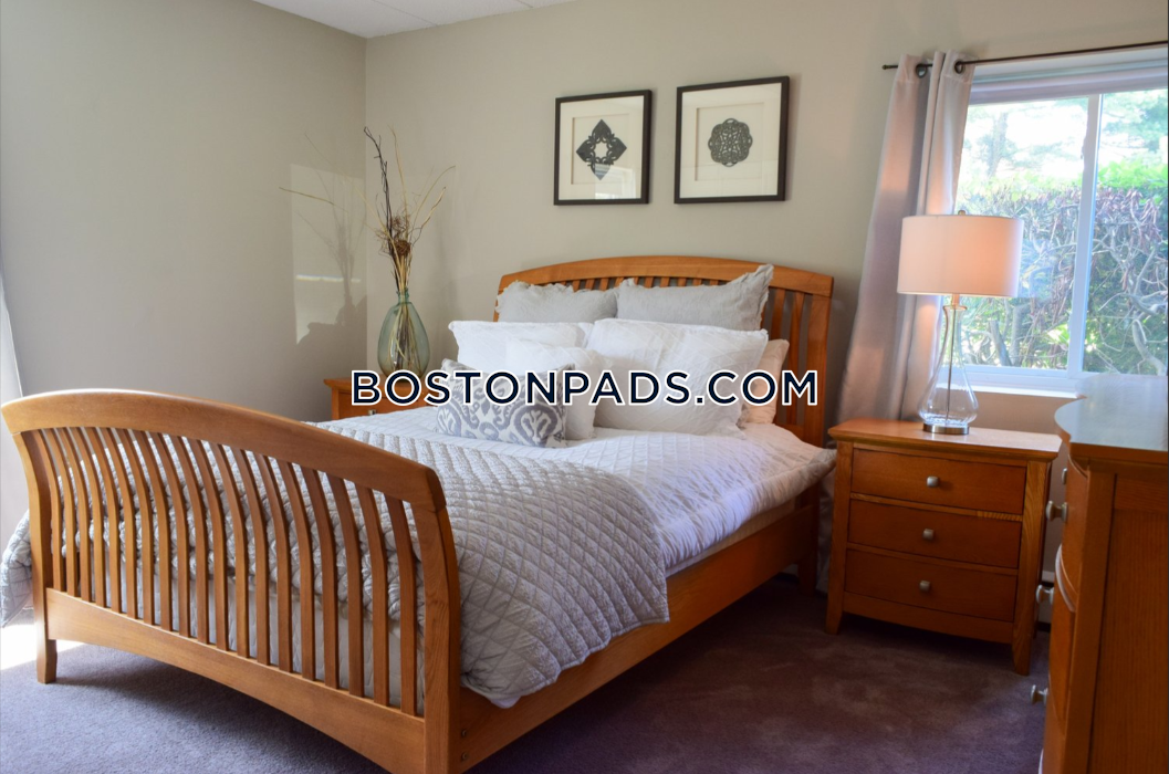 King's Lynne Photo 7