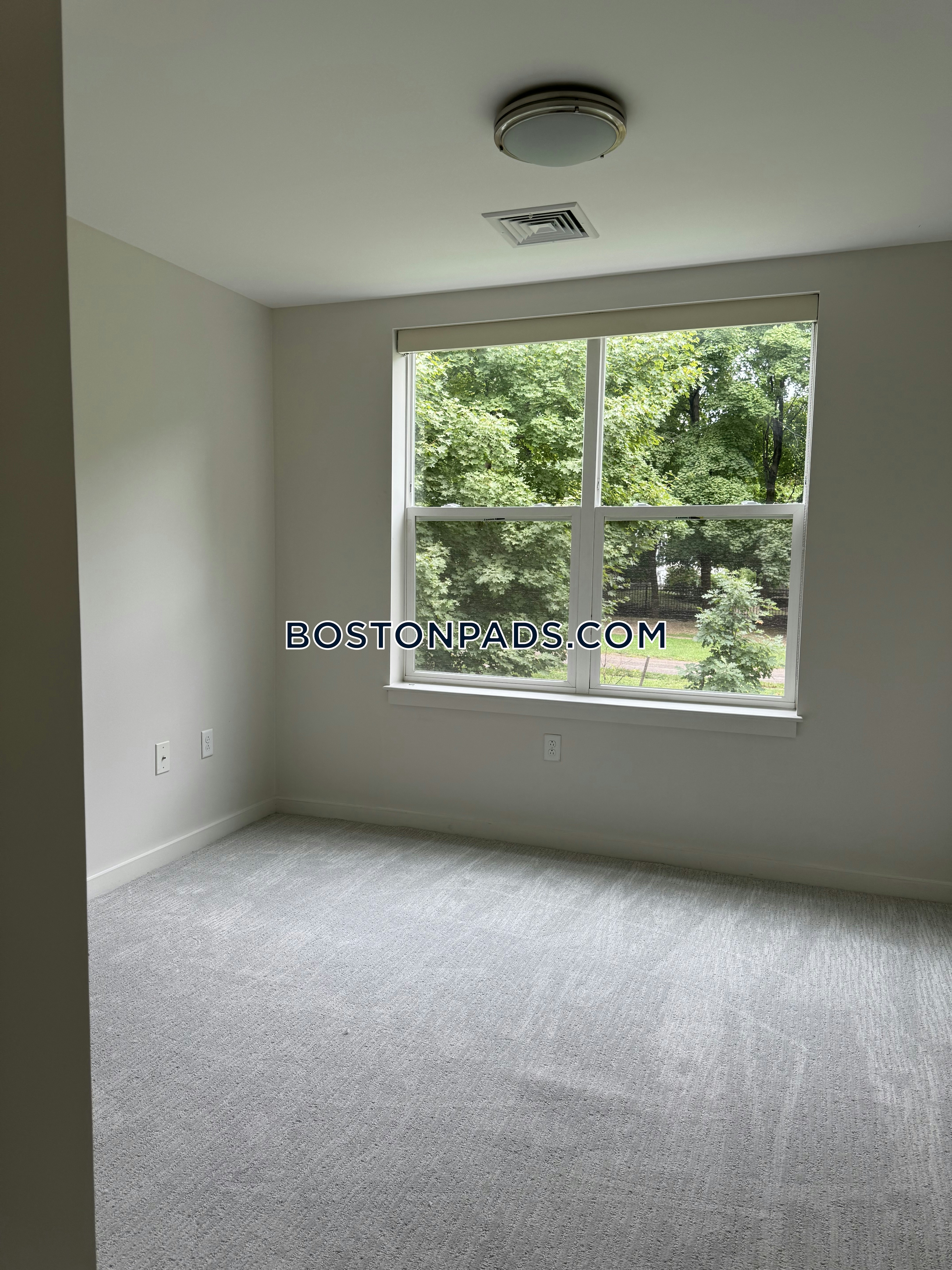 Linea Cambridge Photo 8